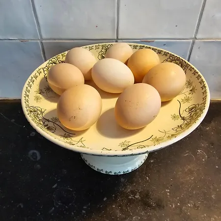 Logeerderij Tussen Koe & Kroonluchter *