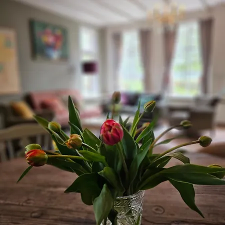 ファームステイ Logeerderij Tussen Koe & Kroonluchter *